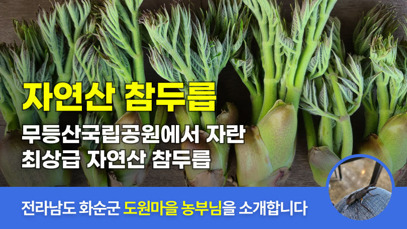 링크 미리보기