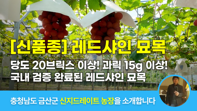 λ§ν¬ 미리보기