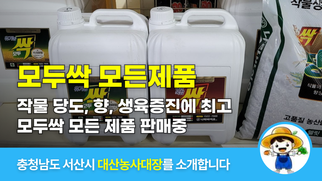 λ§ν¬ 미리보기