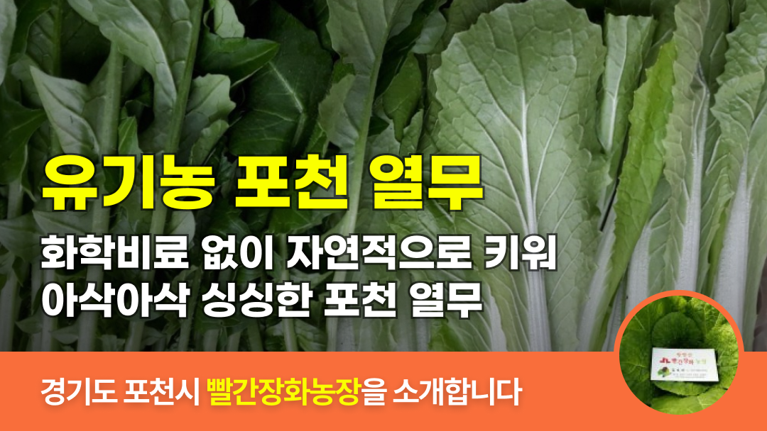 링크 미리보기