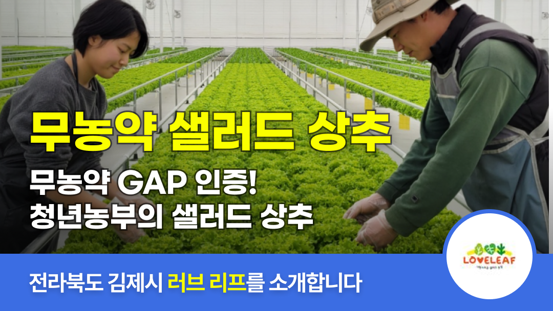 λ§ν¬ 미리보기