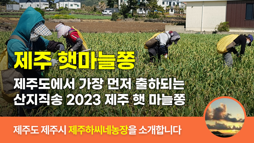 λ§ν¬ 미리보기