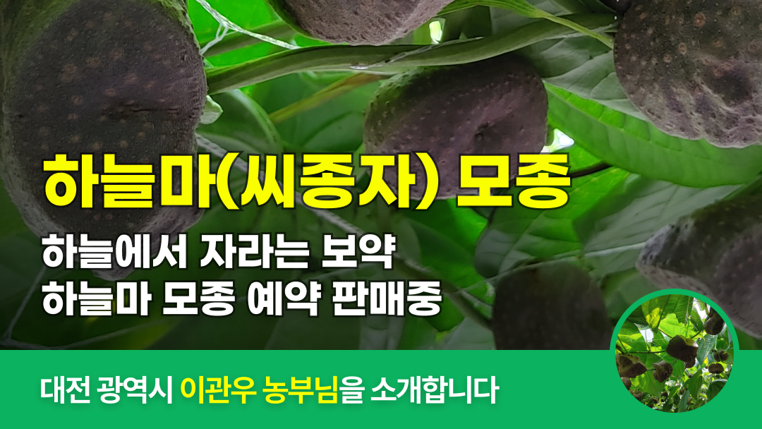 λ§ν¬ 미리보기