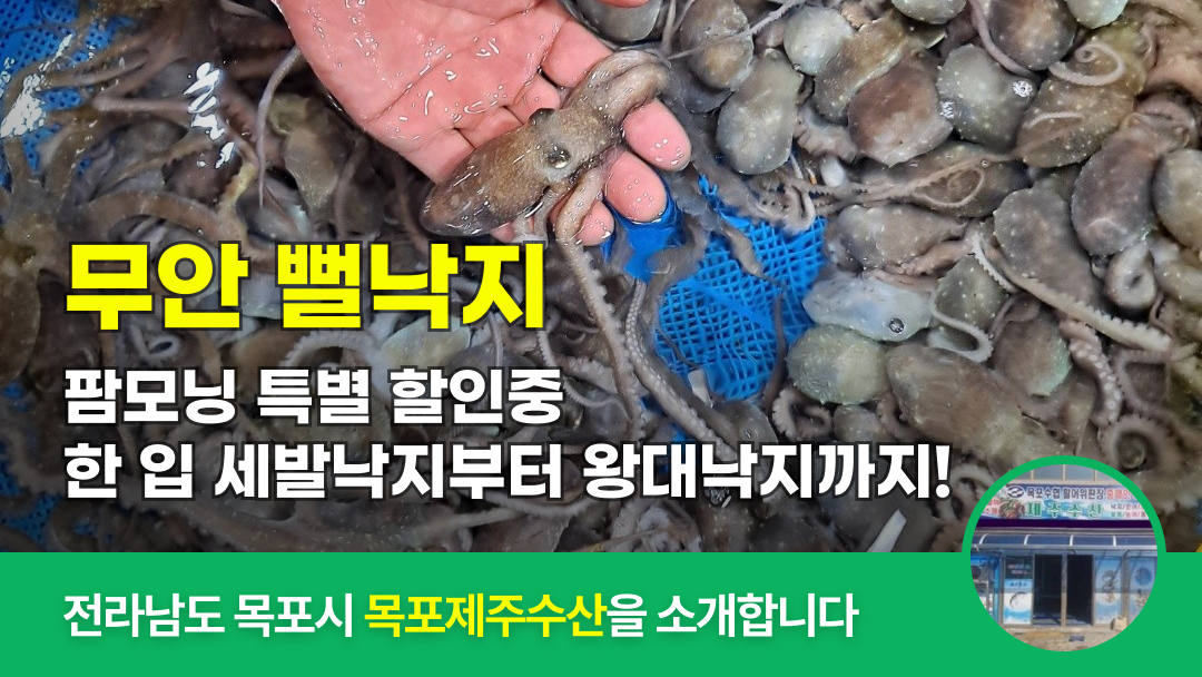 링크 미리보기